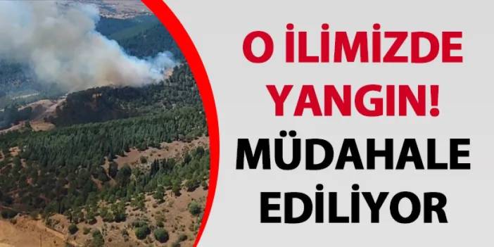 Balıkesir’de orman yangını! Müdahale ediliyor