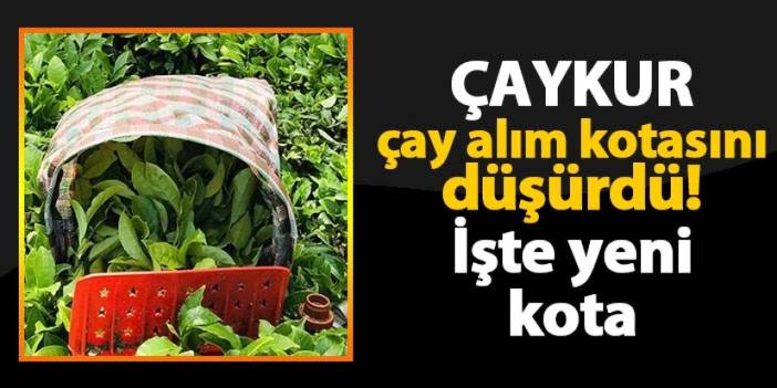 ÇAYKUR çay alımlarında kotayı düşürdü! İşte yeni kota