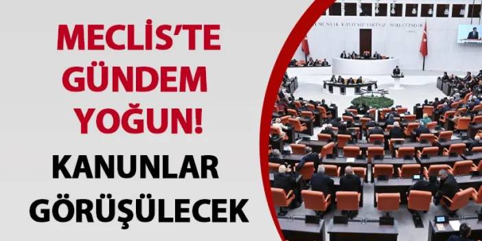 Meclis’te gündem yoğun! Kanunlar görüşülecek