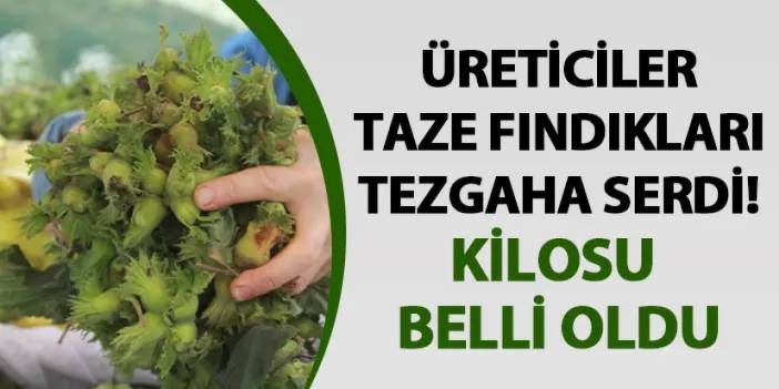 Ordu' da taze fındık tezgahlarda! Kilosu belli oldu