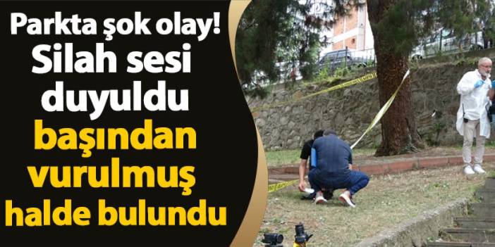 Ordu'da şok olay! Başından vurulmuş halde bulundu