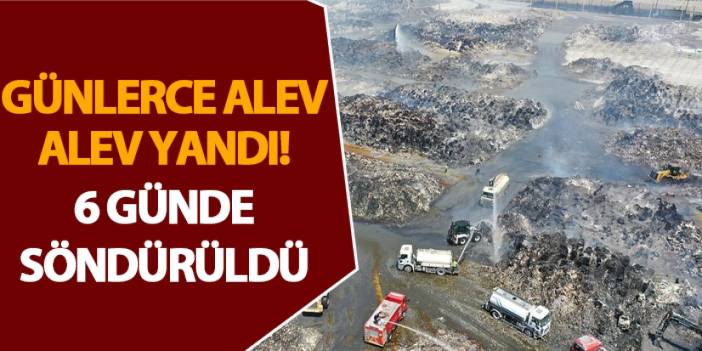 Günlerce alev alev yandı! 6 günde söndürüldü