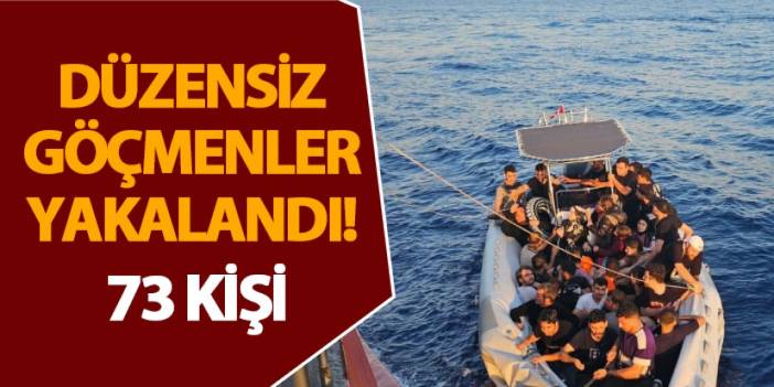 Düzensiz göçmenler yakalandı! 1 gözaltı