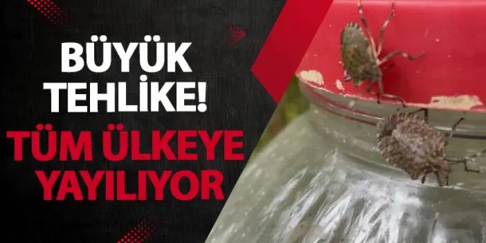 Artvin’de büyük tehlike! Tüm ülkeye yayılıyor