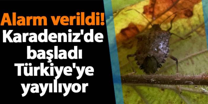 Uzman isim o sorun için alarmı verdi! Karadeniz'de başladı Türkiye'ye yayılıyor