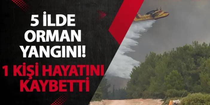 5 ilde orman yangını! 1 kişi hayatını kaybetti