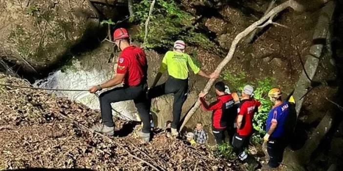 Bursa'da odun toplamak için ormana giden adamdan acı haber!