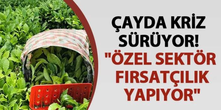 Çayda kriz sürüyor! "Özel sektör fırsatçılık yapıyor"