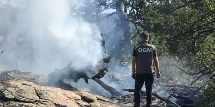 Bolu'da yıldırım düşen ormanda yangın çıktı