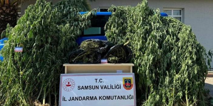 Samsun'da 6 kilo 300 gram esrar ele geçirildi