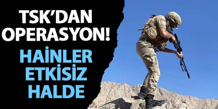 TSK’dan operasyon! Hainler etkisiz halde