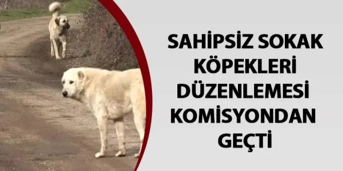 Başıboş sokak köpekleri teklifi komisyondan geçti