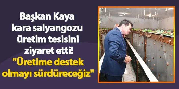 Başkan Kaya kara salyangozu üretim tesisini ziyaret etti! "Üretime destek olmayı sürdüreceğiz"