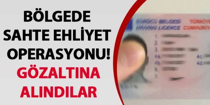 Bölgede sahte ehliyet operasyonu! Gözaltına alındılar