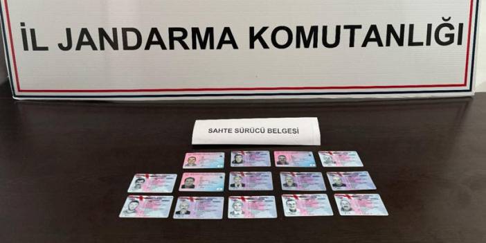 Samsun merkezli "sahte yurt dışı sürücü belgesi" operasyonu