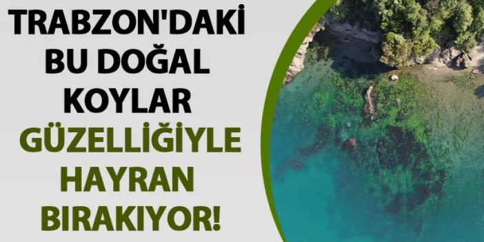 Trabzon'daki bu doğal koylar güzelliğiyle hayran bırakıyor!