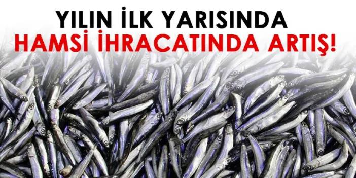 Yılın ilk yarısında hamsi ihracatında artış!