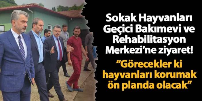 Trabzon'da sokak hayvanları için açıklama! "Görecekler ki hayvanları korumak ön planda olacak"