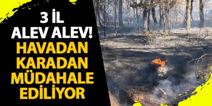 3 il alev alev! Havadan karadan müdahale ediliyor