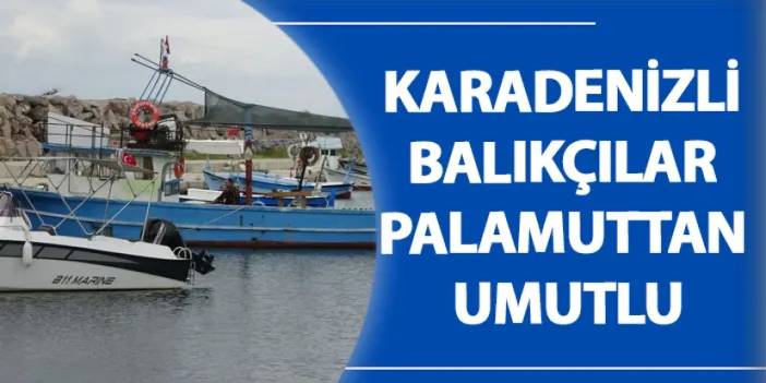 Giresunlu balıkçılar palamuttan umutlu