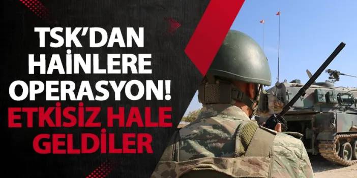 TSK’dan hainlere operasyon! Etkisiz hale geldiler