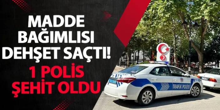 Kastamonu’da madde bağımlısı dehşet saçtı! 1 polis şehit oldu