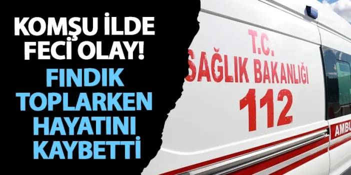 Giresun’da feci olay! fındık toplarken hayatını kaybetti