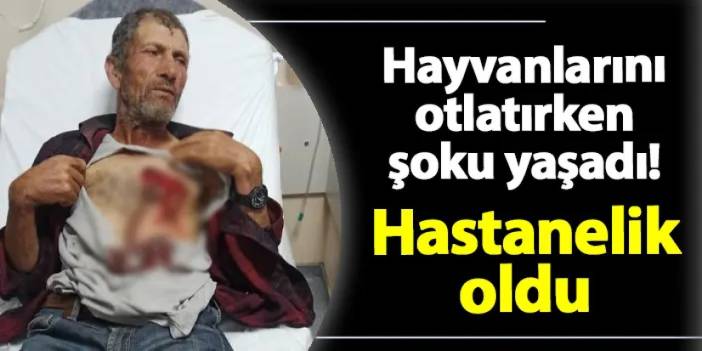 Gümüşhane'de hayvanlarını otlatırken şoku yaşadı! Hastanelik oldu