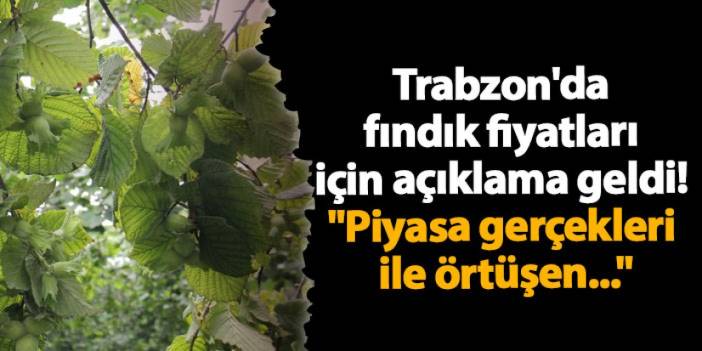 Trabzon'da  fındık fiyatları  için açıklama geldi! "Piyasa gerçekleri  ile örtüşen..."