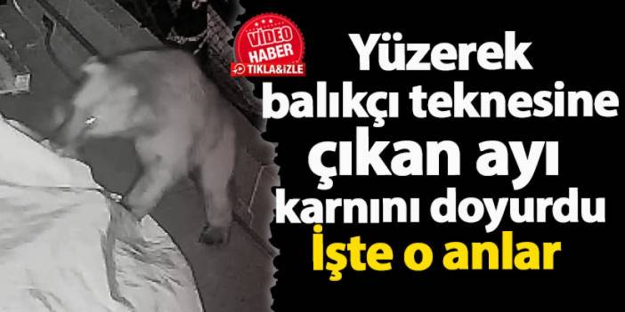 Gümüşhane'de yüzerek balıkçı teknesine çıkan ayı karnını doyurdu! İşte o anlar