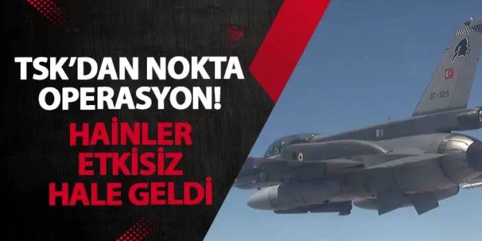 TSK’dan nokta operasyon! Hainler etkisiz hale geldi