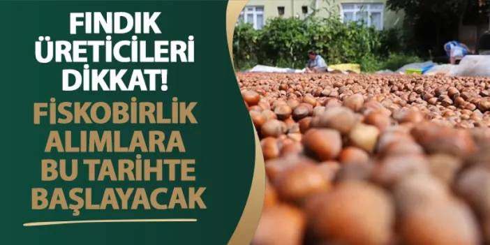 Fındık üreticileri dikkat! FİSKOBİRLİK alımlara bu tarihte başlayacak