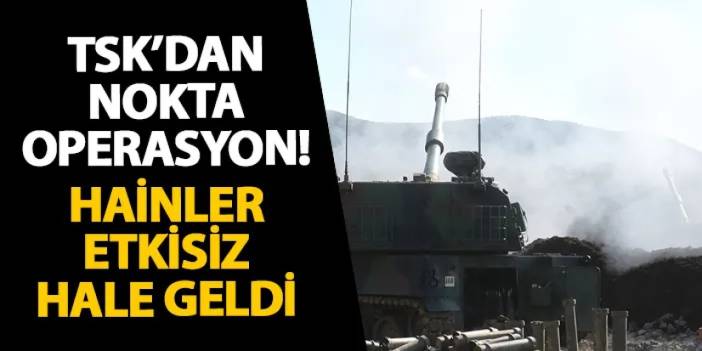 TSK’dan nokta operasyon! Hainler etkisiz hale geldi