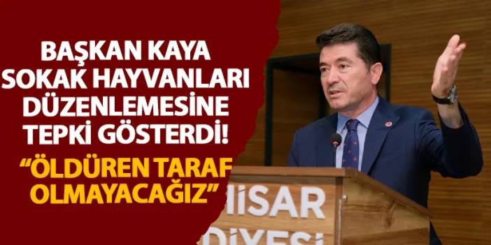 Başkan Kaya sokak hayvanları düzenlemesine tepki gösterdi! “Öldüren taraf olmayacağız”