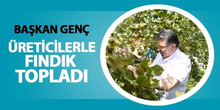 Trabzon'da Başkan Genç bahçeye indi! Üreticilerle fındık topladı