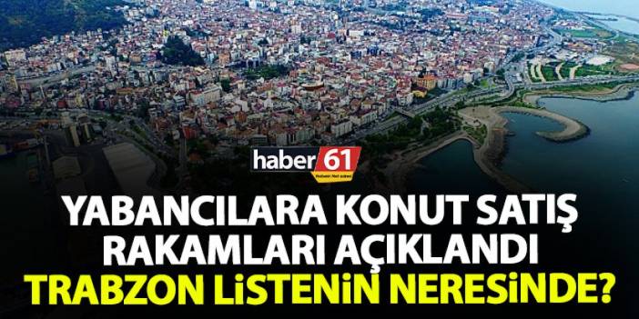 Yabancılara konut satış rakamları açıklandı! Trabzon listeye giremedi