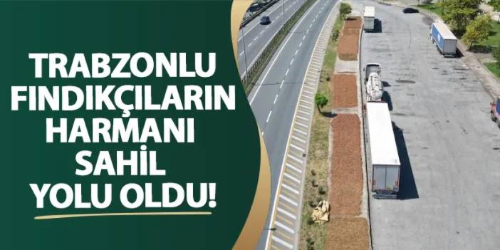 Trabzonlu fındıkçıların harmanı sahil yolu oldu!