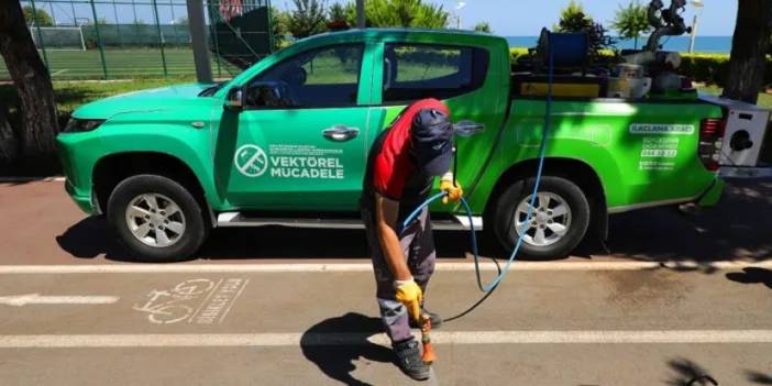 Ordu’da vektörle mücadele sürüyor