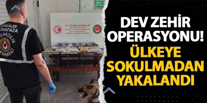 Dev zehir operasyonu! Ülkeye sokulmadan yakalandı