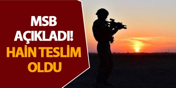 MSB açıkladı! Hain teslim oldu