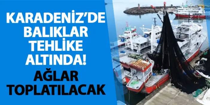 Karadeniz’de balıklar tehlike altında! Ağlar toplatılacak