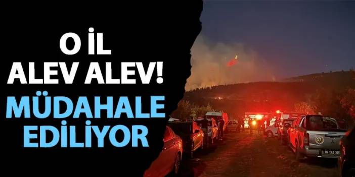 Çankırı alev alev! Müdahale ediliyor