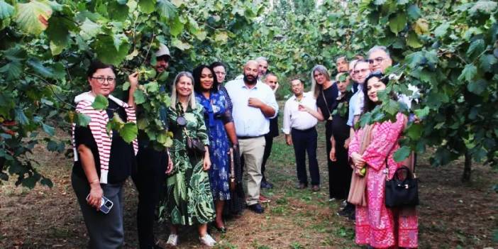 İstanbul Başkonsolosları Trabzon’da fındığı inceledi