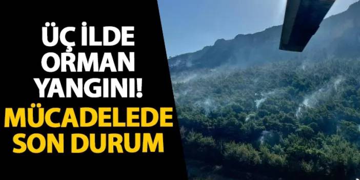 Üç ilde orman yangını! Mücadelede son durum