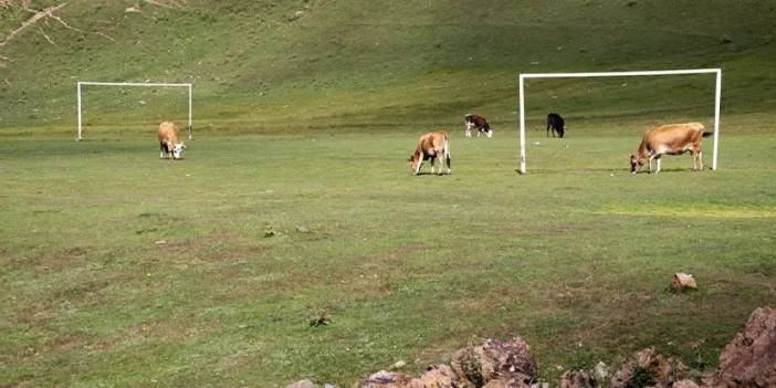 Gümüşhane'de o yayla gözde oldu! Herkes akın ediyor