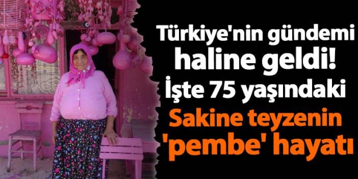 Türkiye'nin gündemi haline geldi! İşte 75 yaşındaki Sakine teyzenin 'pembe' hayatı