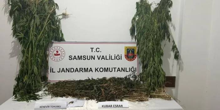 Samsun’da esrar operasyonu! 6 kilo 550 gram yakalandı