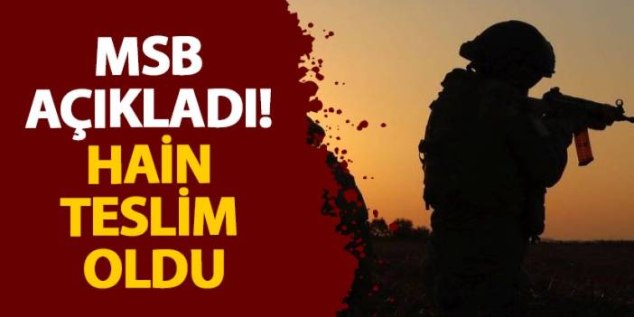 MSB açıkladı! Hain teslim oldu