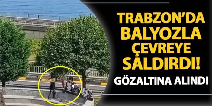 Trabzon'da balyozla çevreye saldırdı! Gözaltına alındı