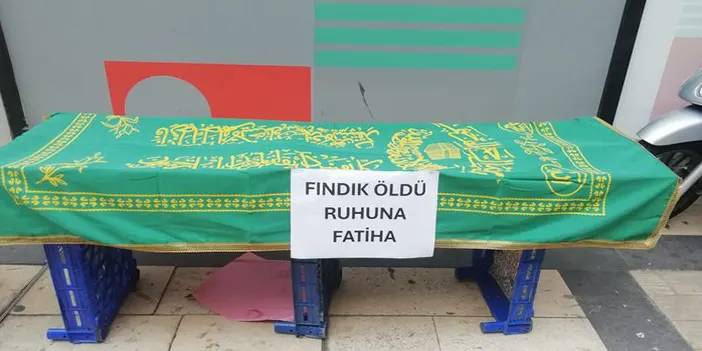 Ordu'da çiftçi fındığa temsili cenaze töreni düzenledi!